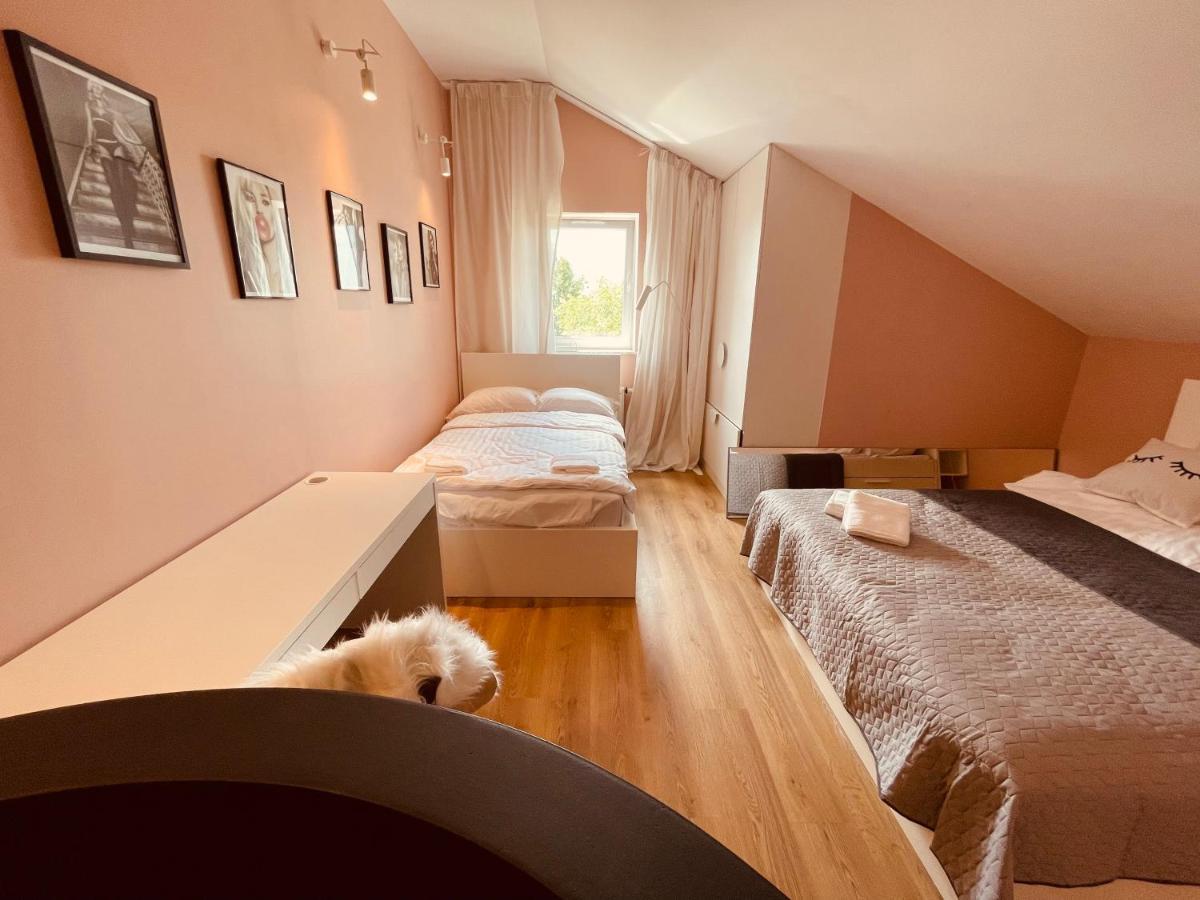Apartamenty Ktw Penthouse Z Tarasem Katowice Exteriör bild